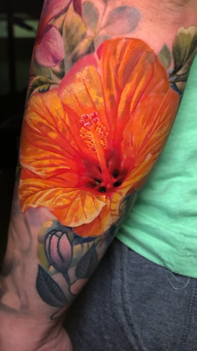 Flower, Nature, 히비스커스, 수선화