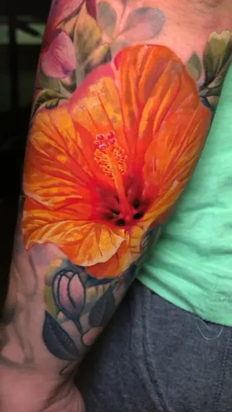 Flower, Nature, 히비스커스, 수선화
