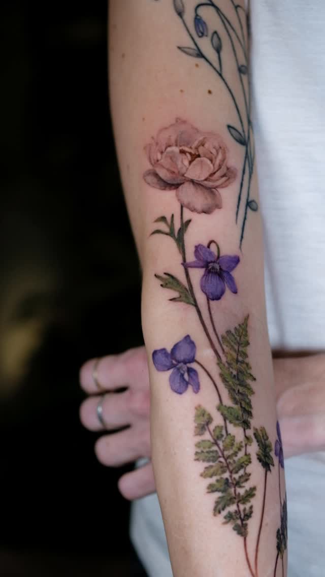 Flower, Rose