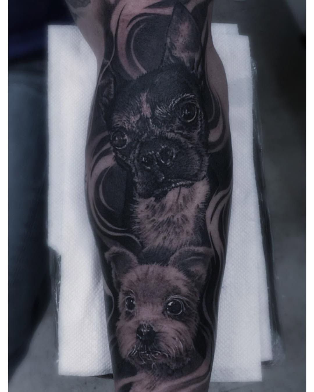 Animal