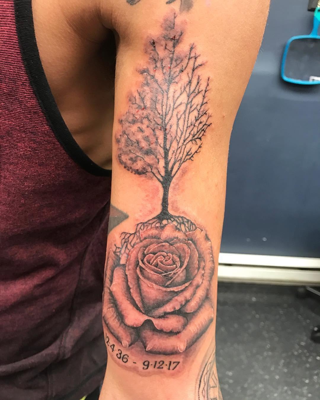 Flower, Rose