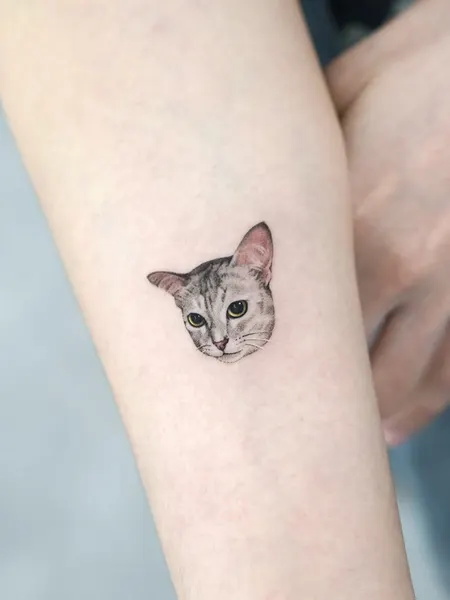 고양이