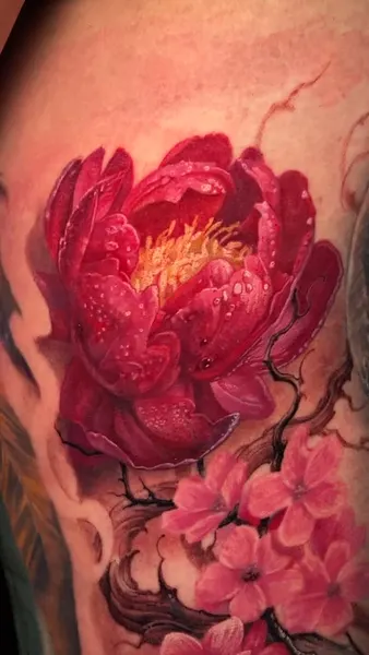 Flower, Rose
