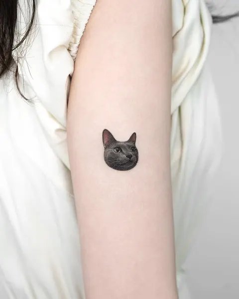 고양이