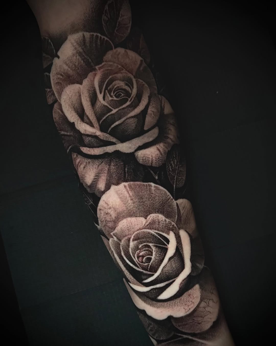 Rose, Flower
