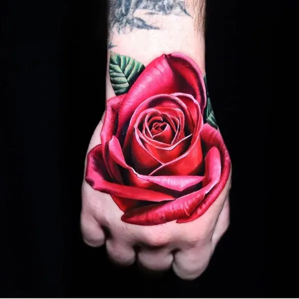 Flower, Rose
