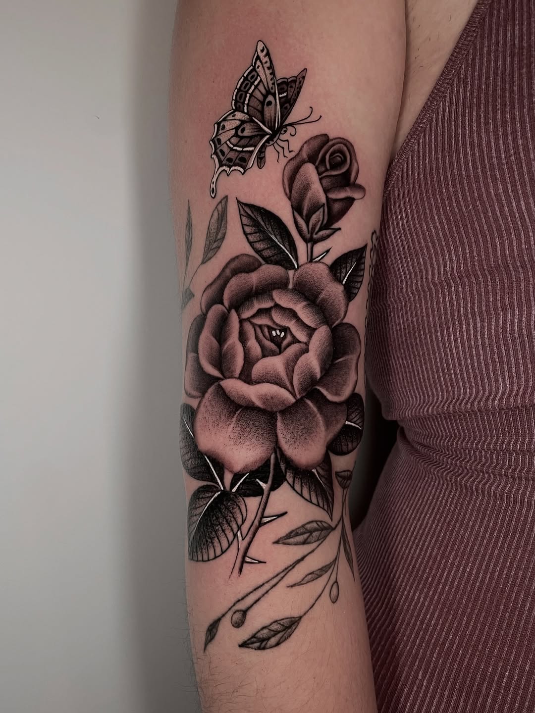 Flower, Rose, Nature