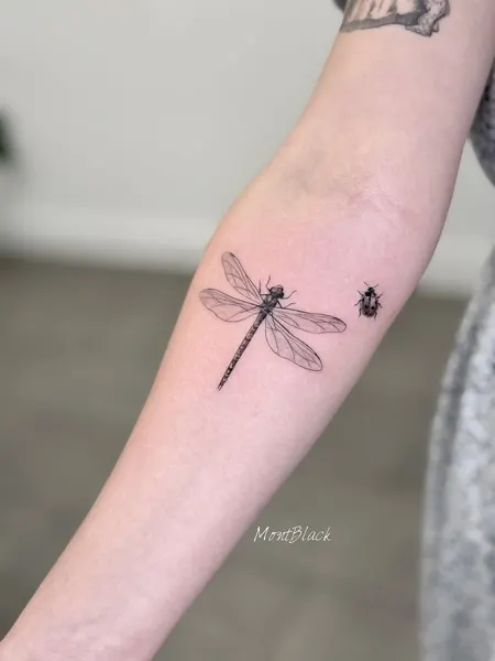 Nature, Animal, 잠자리, 리본, 참새