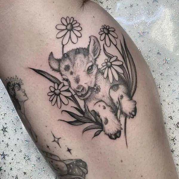 Animal