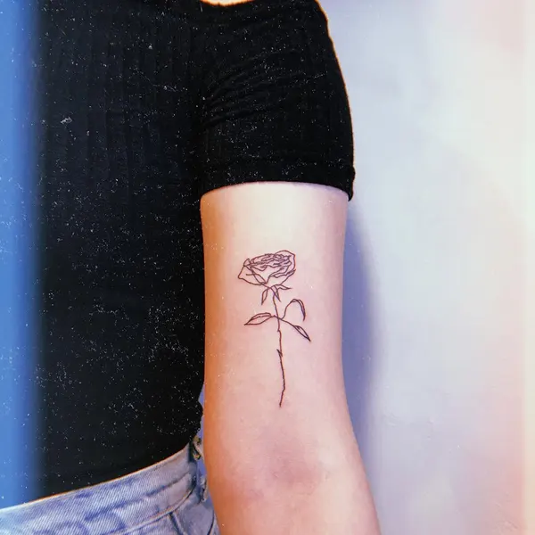 Flower, Rose