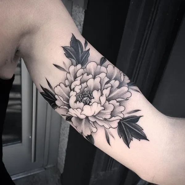 Flower, Rose, 수국, 모란, 꽃다발