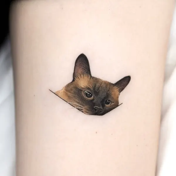 Animal