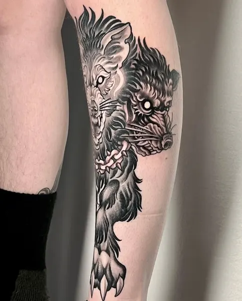 Tiger, Animal