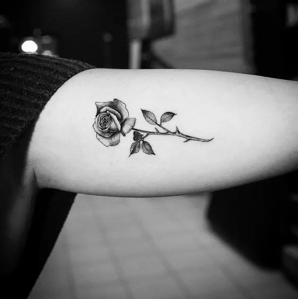 Flower, Rose