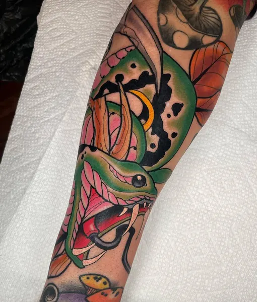 Dragon