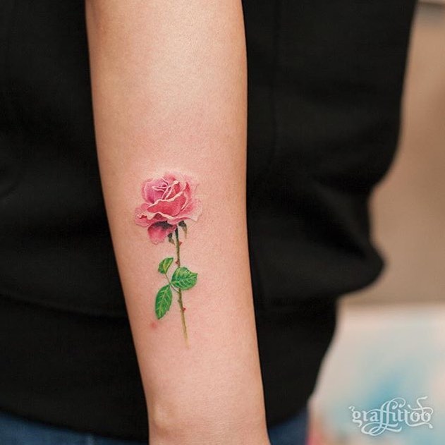 Rose, Flower, 모란, 목련