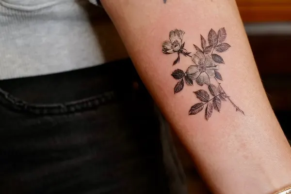 Flower, Rose, 수국