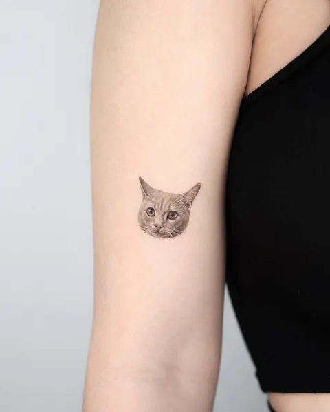고양이, 여우 가면
