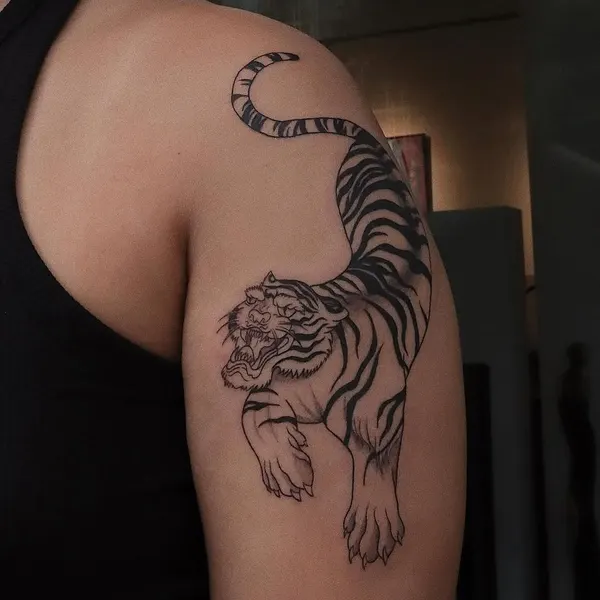 Animal, Nature