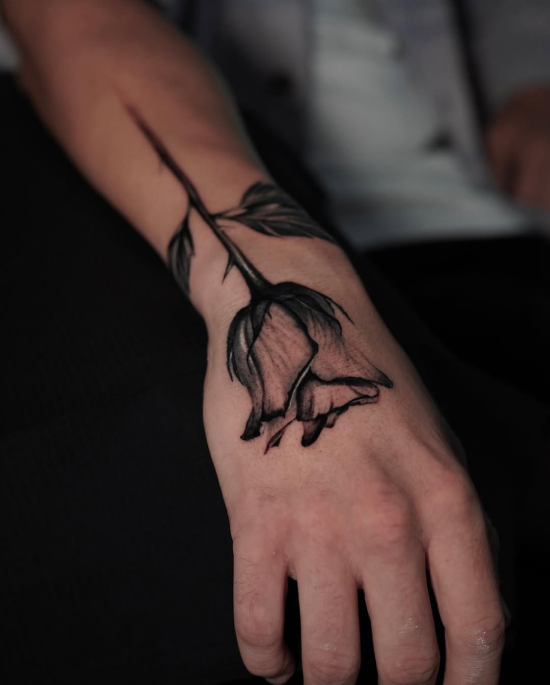 Flower, Rose