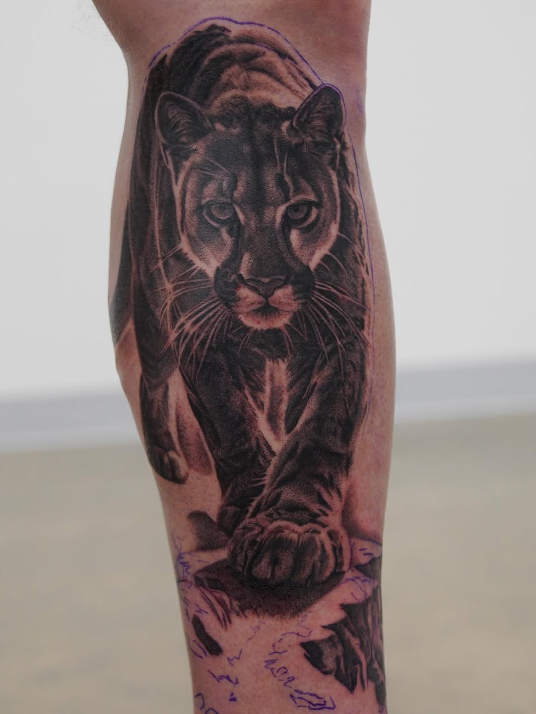 Animal, Tiger