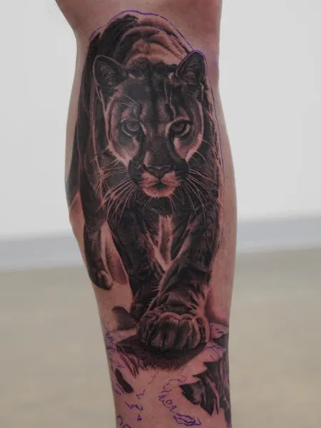 Animal, Tiger