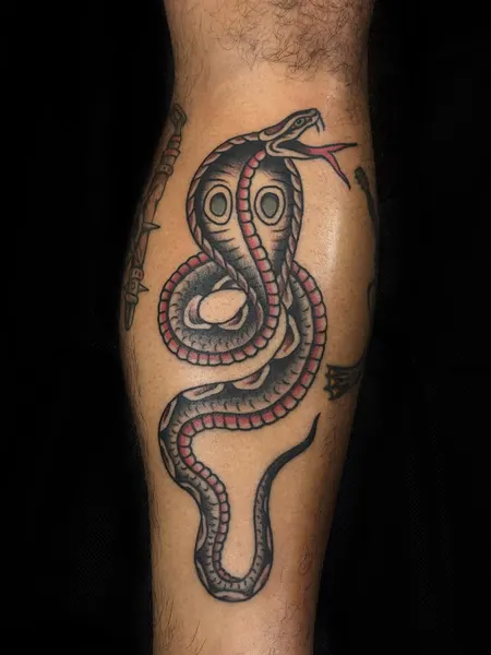 Dragon, Snake