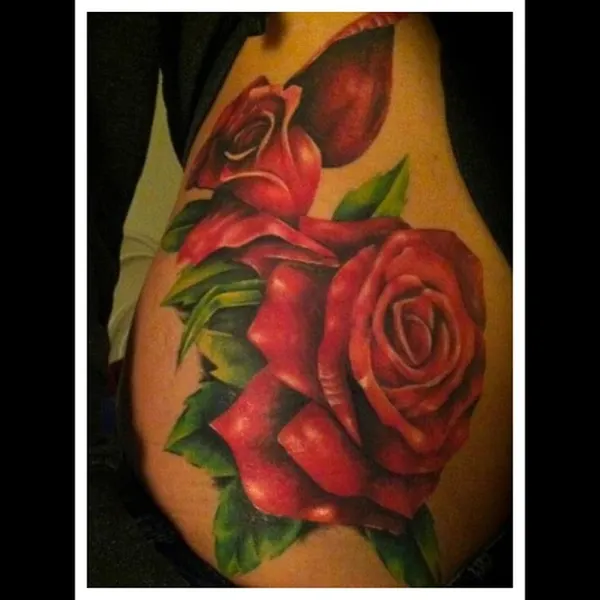 Flower, Rose, Nature