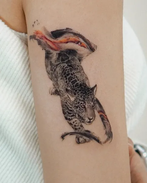 표범, 치타, 재규어, Animal