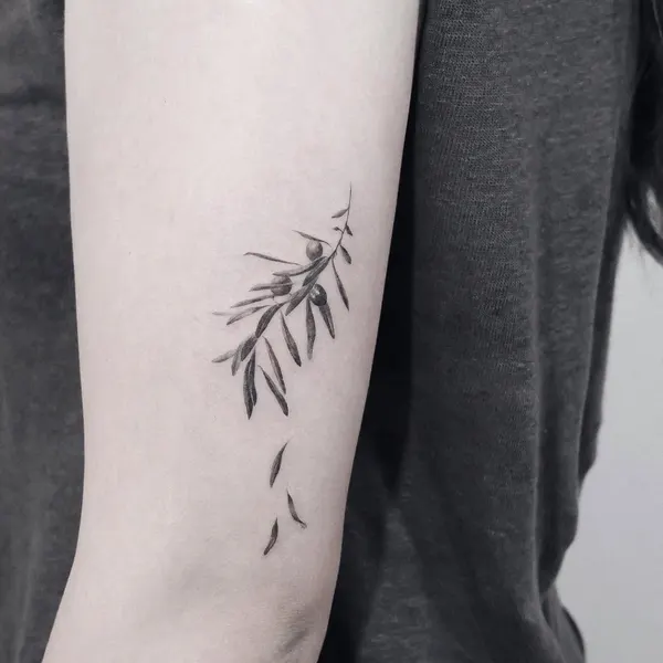 바람, 잎, 풀, Flower, 고사리, 단풍잎, 대나무, 은행잎, 나뭇가지, 올리브 가지, 깃털, 민들레, 야자수, Nature