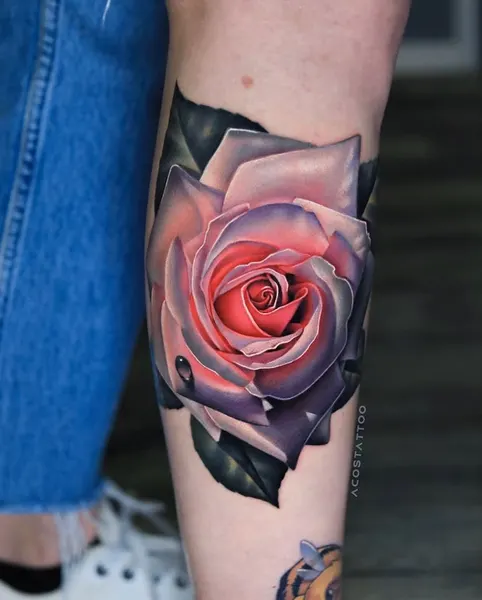 Flower, Rose