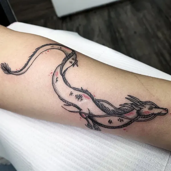 Dragon, 고래, 해마, 상어, 돌고래