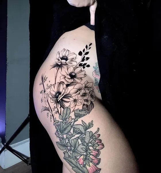 Flower, Rose