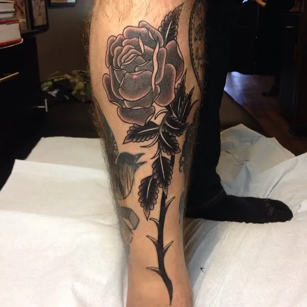 Flower, Rose
