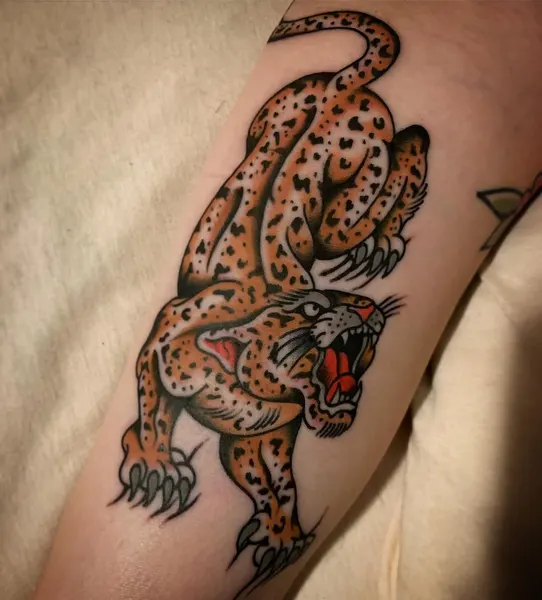Tiger, Animal, 치타, 표범