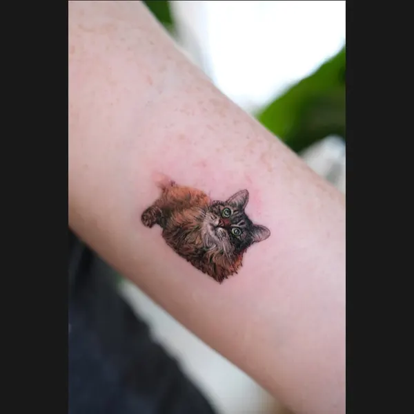 Animal, 반려동물 추모, 충성, 반려동물