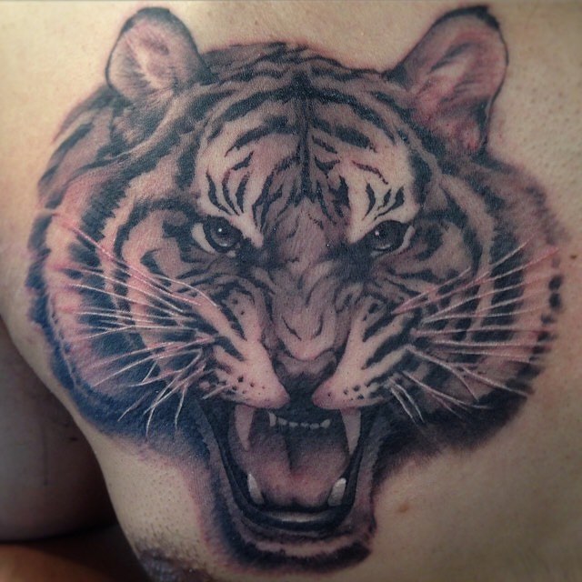 Tiger, 중국 호랑이