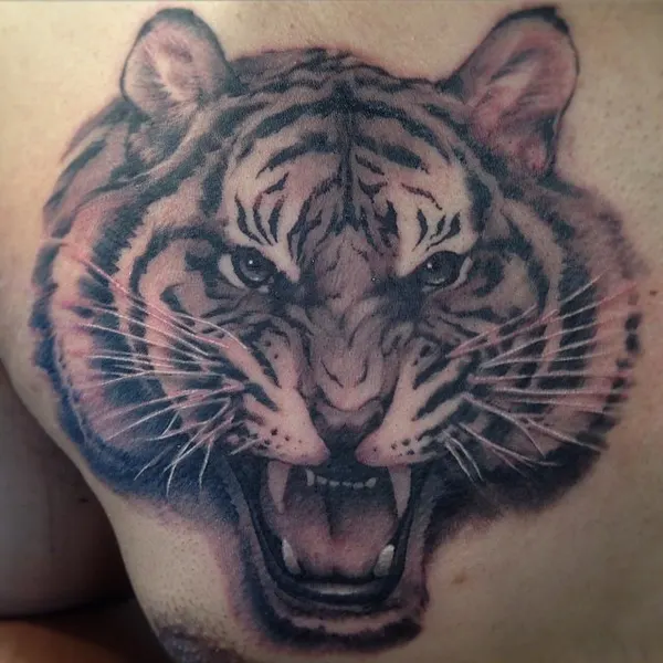 Tiger, 중국 호랑이
