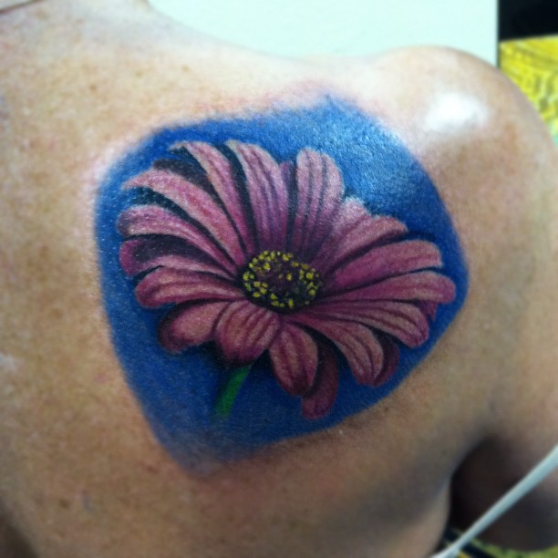Flower, 모란, 목련, 국화, 꽃다발, 데이지, 탄생화, 아이리스, 오너멘탈, 히비스커스, 꽃 배경, 수국