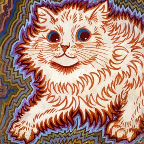 Animal, Tiger