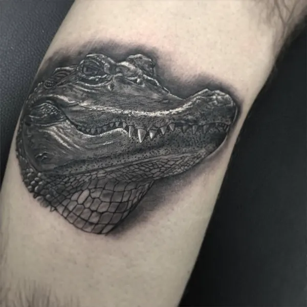 Dragon, 동굴, 모래, 호수, 화산