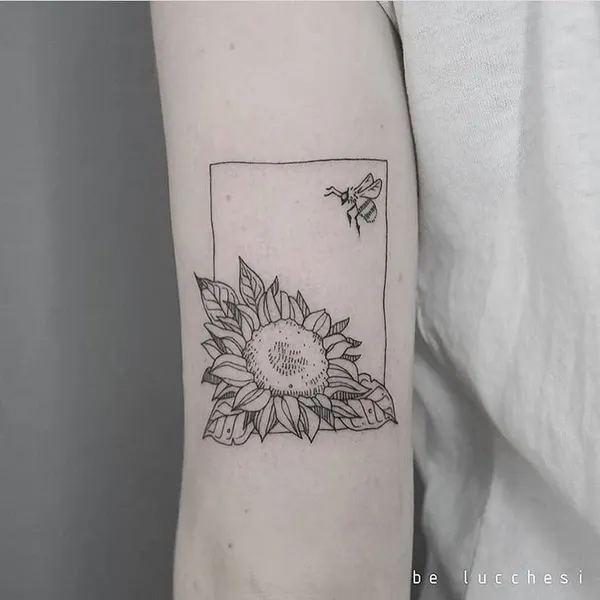 책, 캐리어