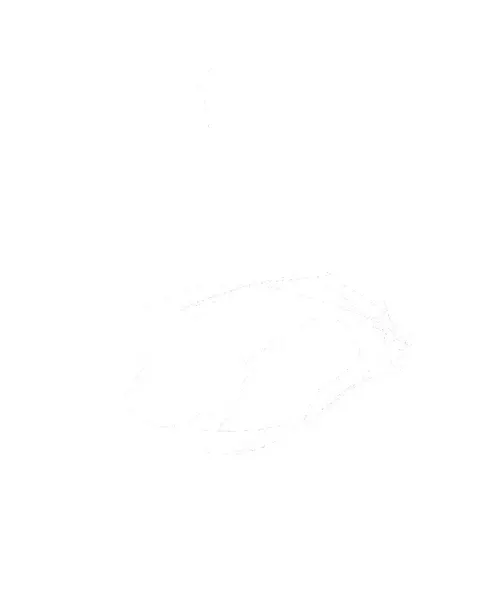 lifo_art