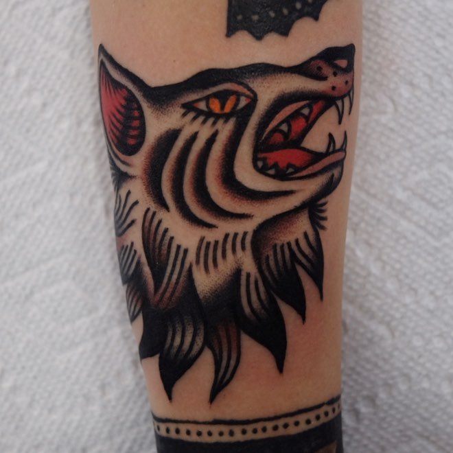 Tiger, Animal