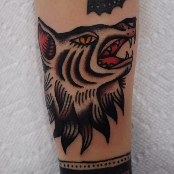 Tiger, Animal
