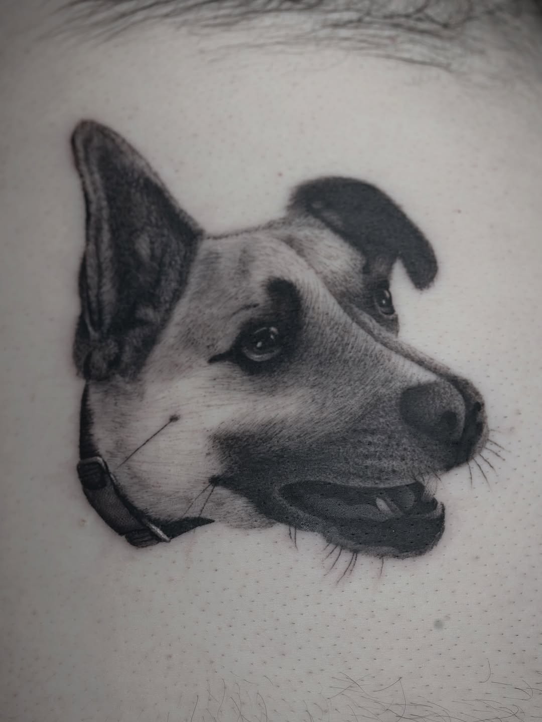 joshstephenstattoos