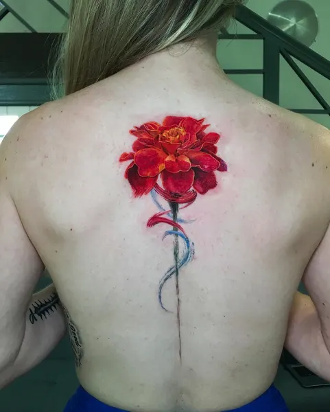 Flower, Nature, Rose, 양귀비, 탄생화