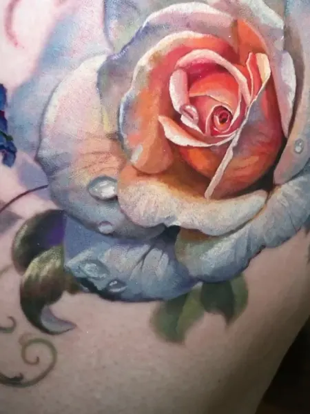 Flower, Animal, Nature, Rose