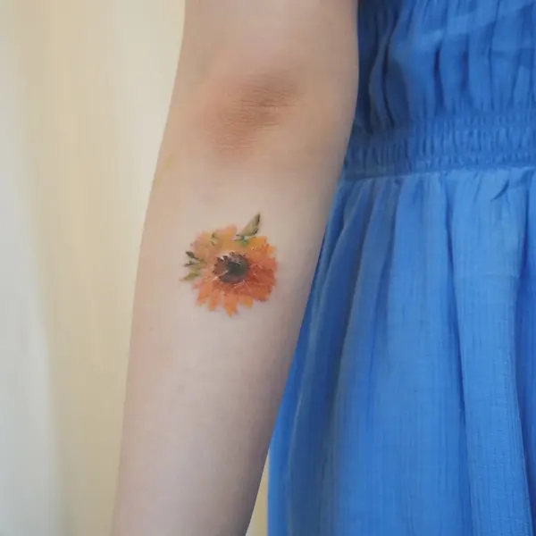 Flower, 국화, 데이지, 수선화, 양귀비, 해바라기, 야생화