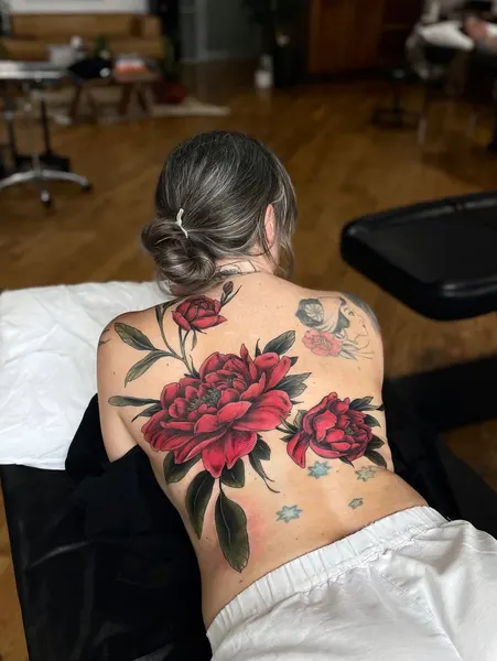 Flower, Nature, Rose